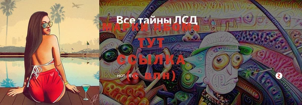 индика Володарск